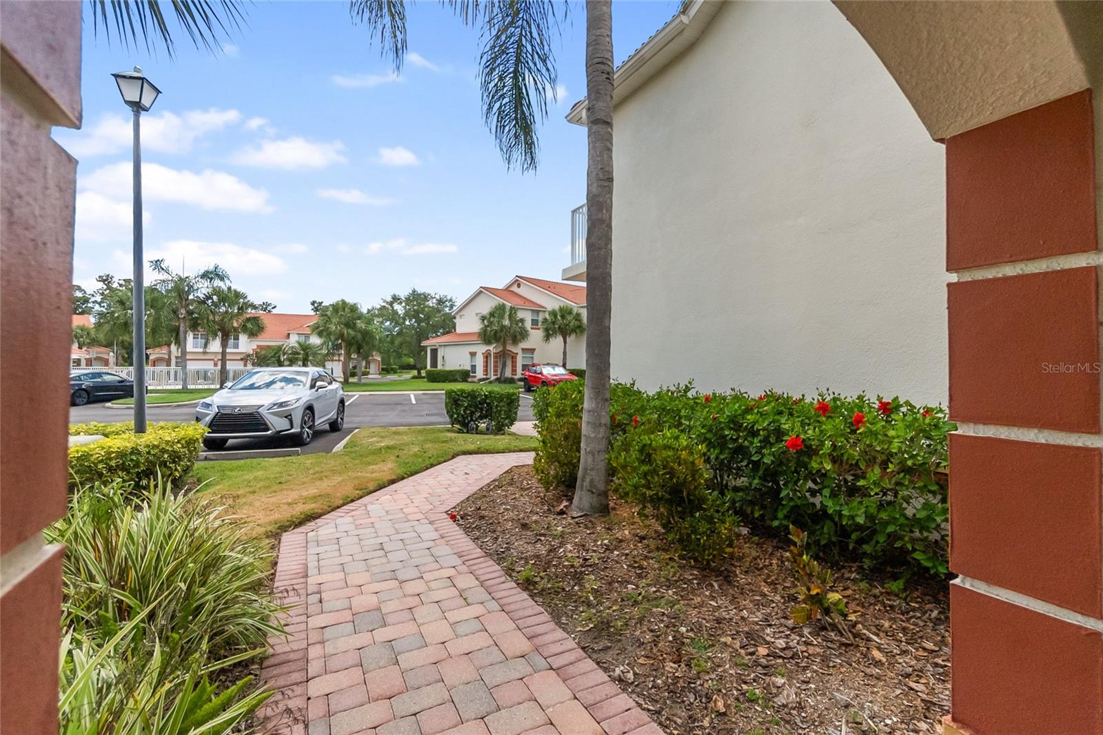 PALM GROVE - Residential