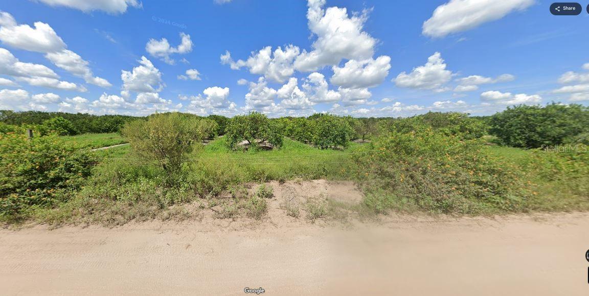 HOLOPAW GROVES ROAD