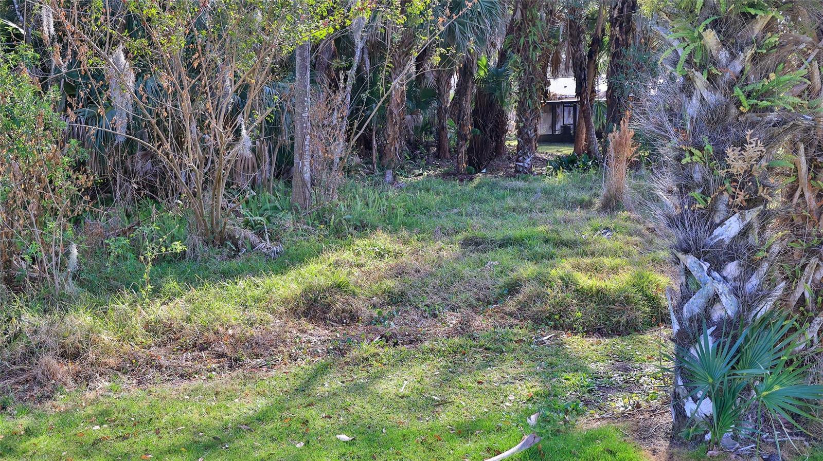 INDIAN RIVER PLANTATION UNIT 02 - Residential