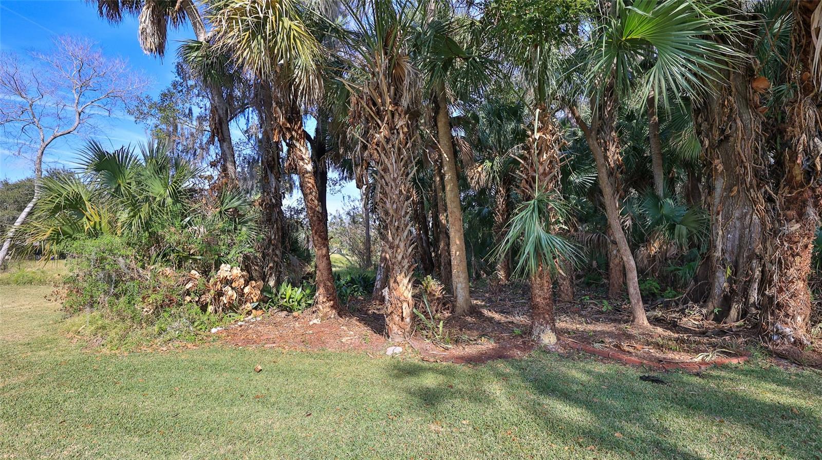 INDIAN RIVER PLANTATION UNIT 02 - Residential