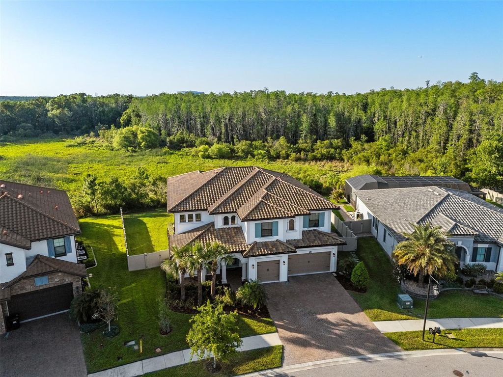 Photo of 28512 Picana Lane, Wesley Chapel, FL 33543 (MLS # TB8388548)