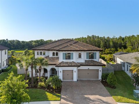 28512 PICANA LANE WESLEY CHAPEL FL 33543