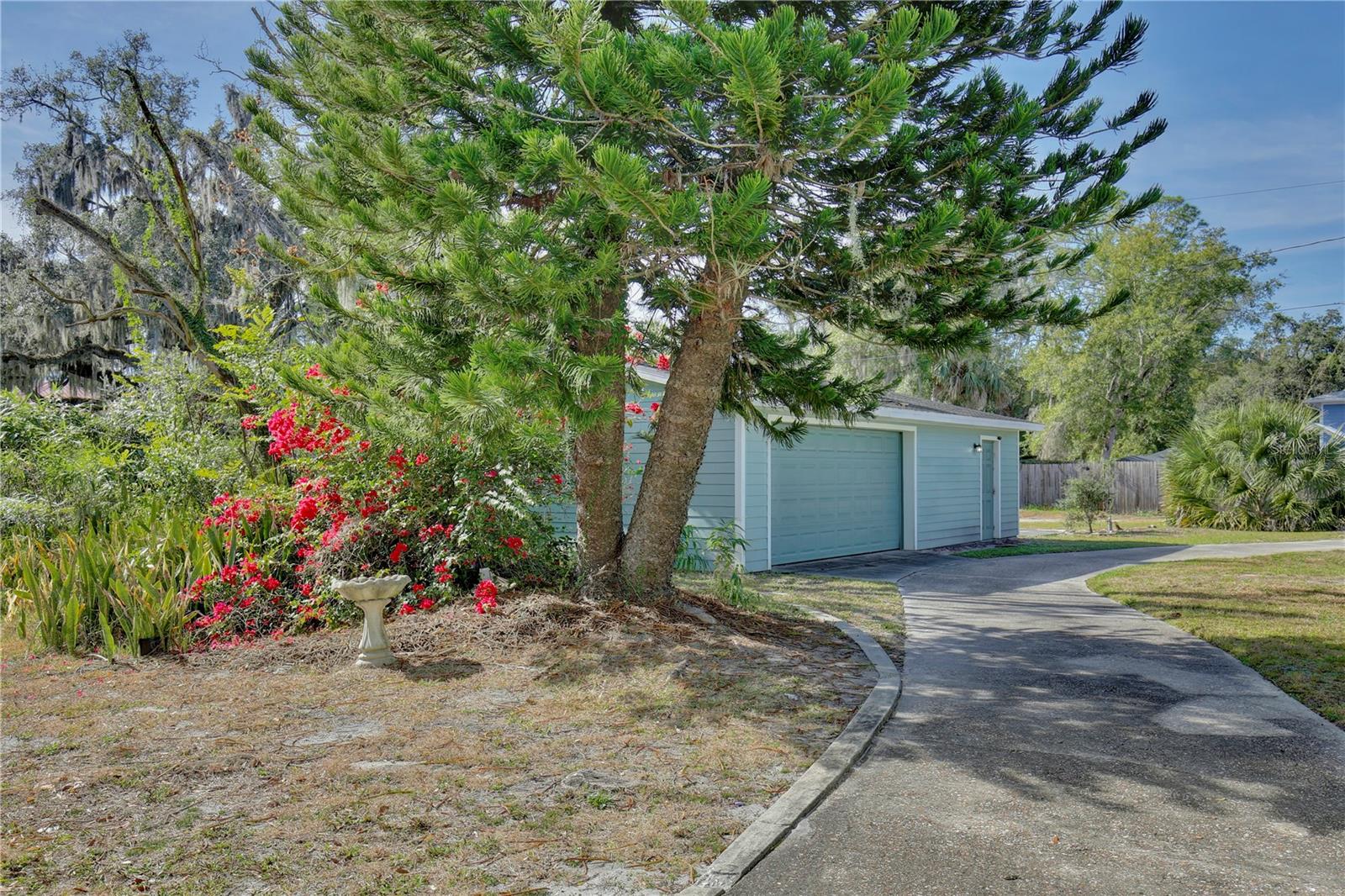 PINE HGTS - Residential