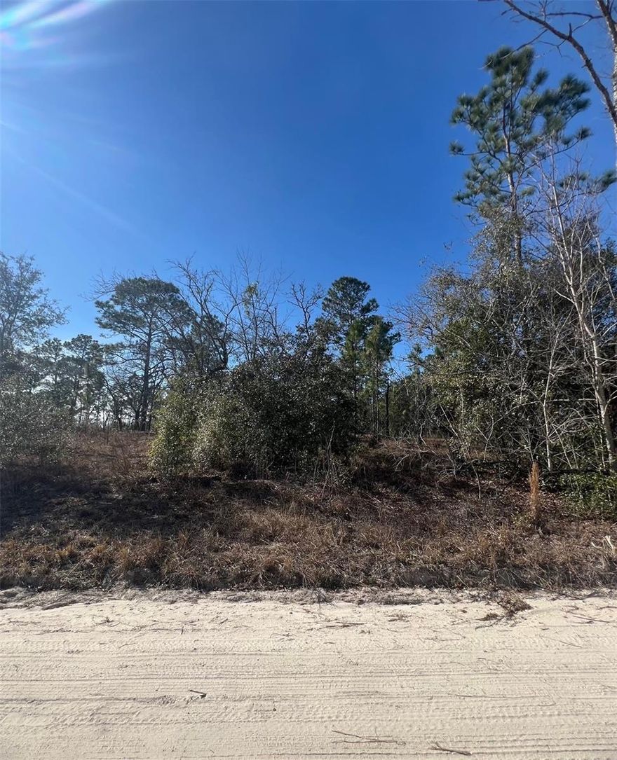 Country Living in the Horse Capital of the World, only 17mi from the World Equestrian Center, making it an ideal location for equestrian enthusiasts, trainers, or competitors. Enjoy the famous Rainbow River (18mi away) and only 23mi to Downtown Ocala, where you can enjoy art festivals, dining, live music and other events. The generous size of the lot ensures ample space, allowing to you make dreams and hearts desire become a reality. Imagine owing property where you can enjoy the sounds of nature all while being conveniently located near to Dunnellon, Ocala, Williston. Featuring rear adjacent 2.5acre lot (PID 1215-000-00), buy both for a total of 5 acres.