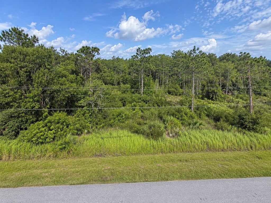 Photo of Topeka Avenue, Saint Cloud, FL 34773 (MLS # S5157661)