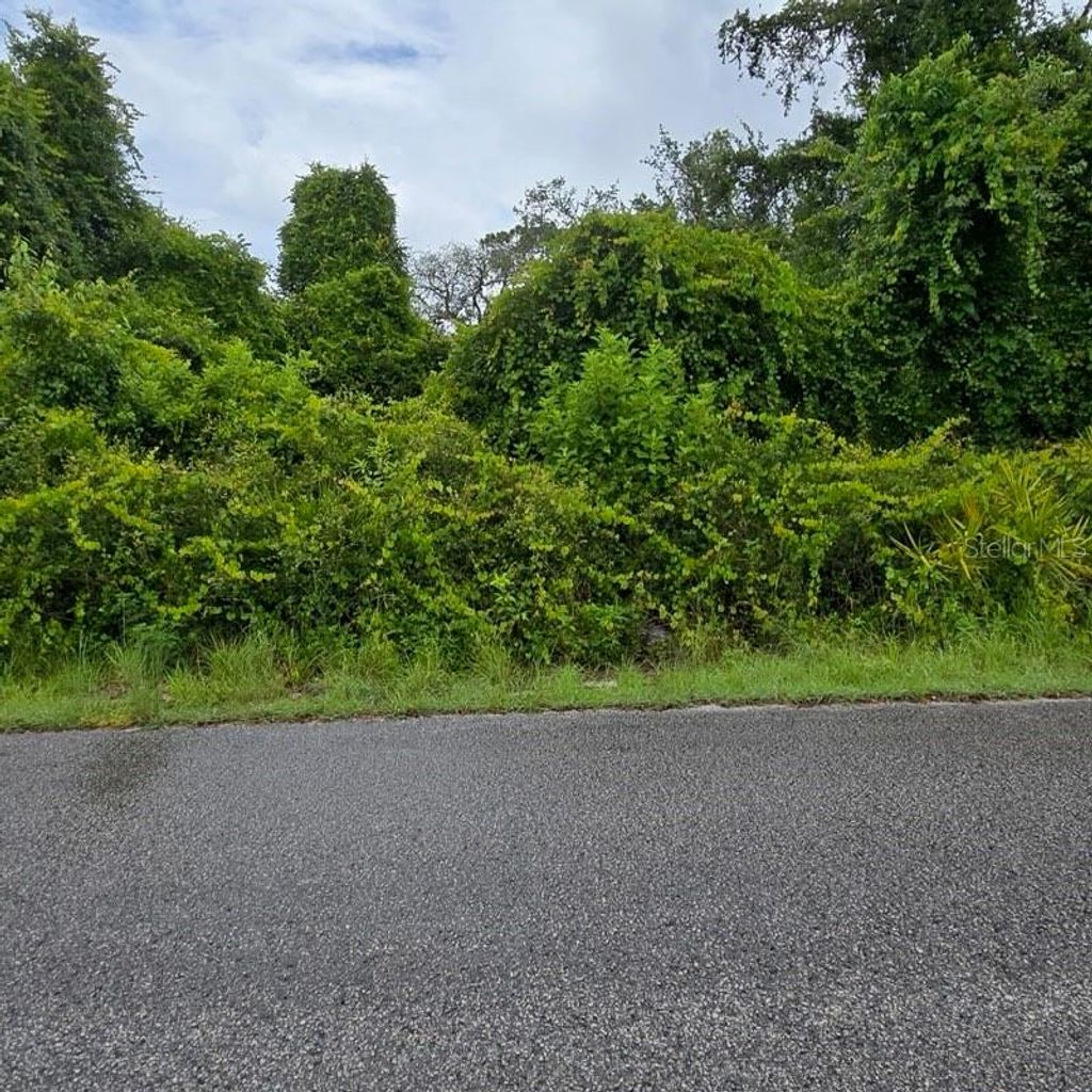 Photo of Wandell, New Port Richey, FL 34654 (MLS # TB8419511)