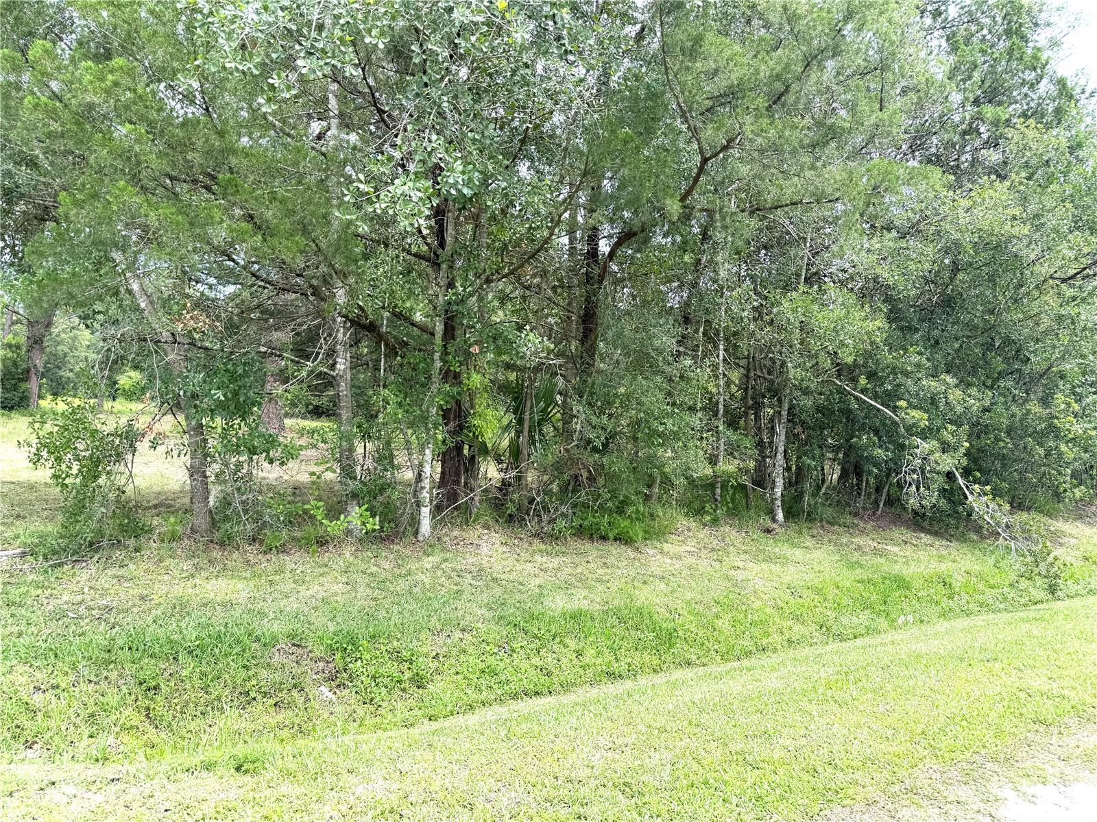 EAST ORLANDO ESTATES - Land