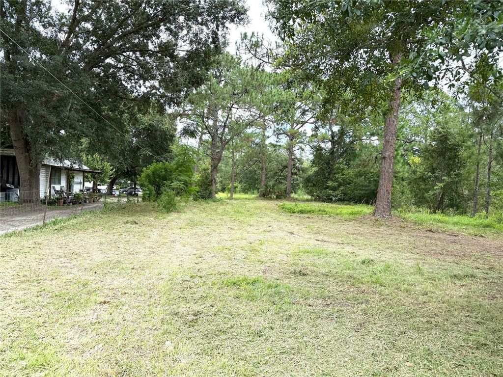 Photo of 2731 8th Street, Orlando, FL 32820 (MLS # O6407018)