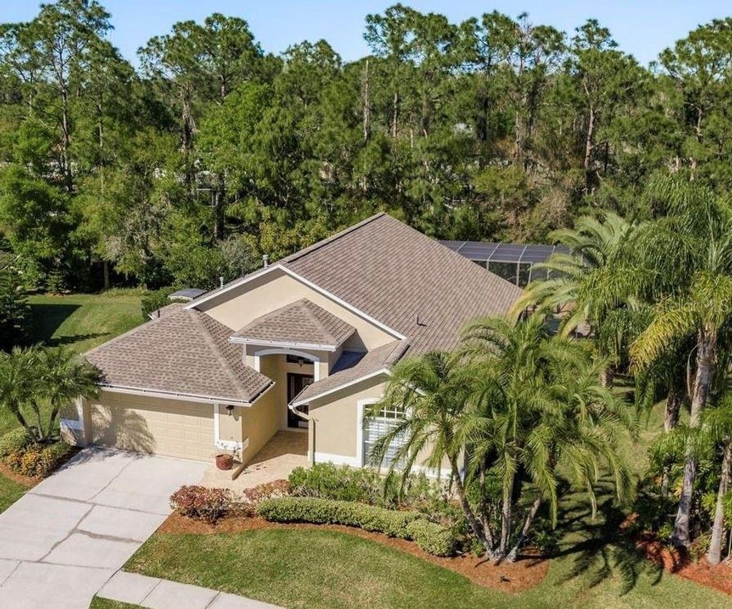 Photo of 14709 Coral Berry Drive, Tampa, FL 33626 (MLS # TB8364135)