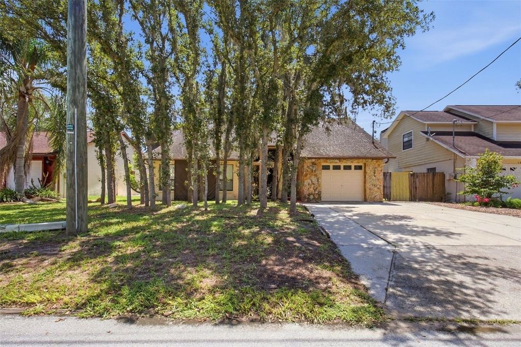 Photo of 10207 N Hyaleah Road, Tampa, FL 33617 (MLS # O6419934)