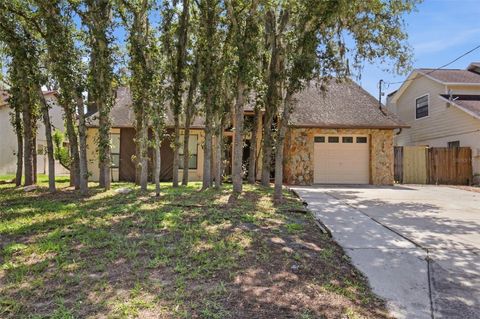 Photo of 10207 N Hyaleah Road, Tampa, FL 33617 (MLS # O6419934)