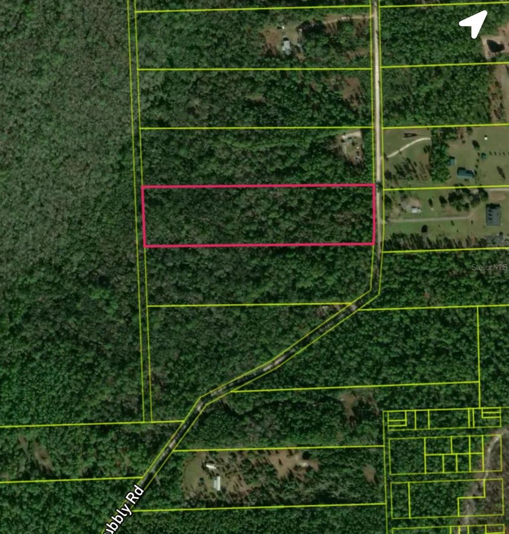 Photo of 820 Old Bubbly Road, Pierson, FL 32180 (MLS # O6365117)