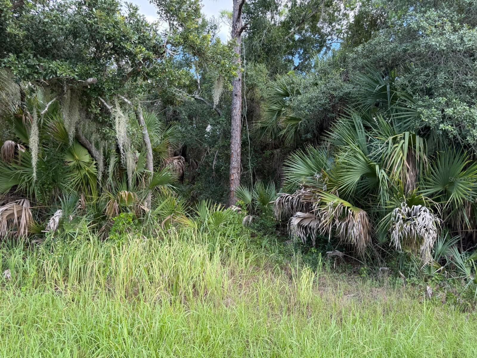 15020 ELWOOD AVENUE, PORT CHARLOTTE, FL, 33953 4 15020 ELWOOD AVENUE