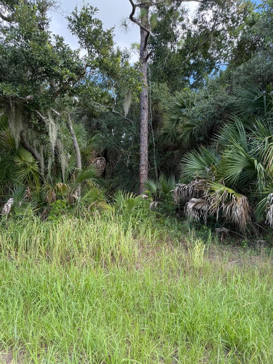15020 ELWOOD AVENUE, PORT CHARLOTTE, FL, 33953 1 15020 ELWOOD AVENUE