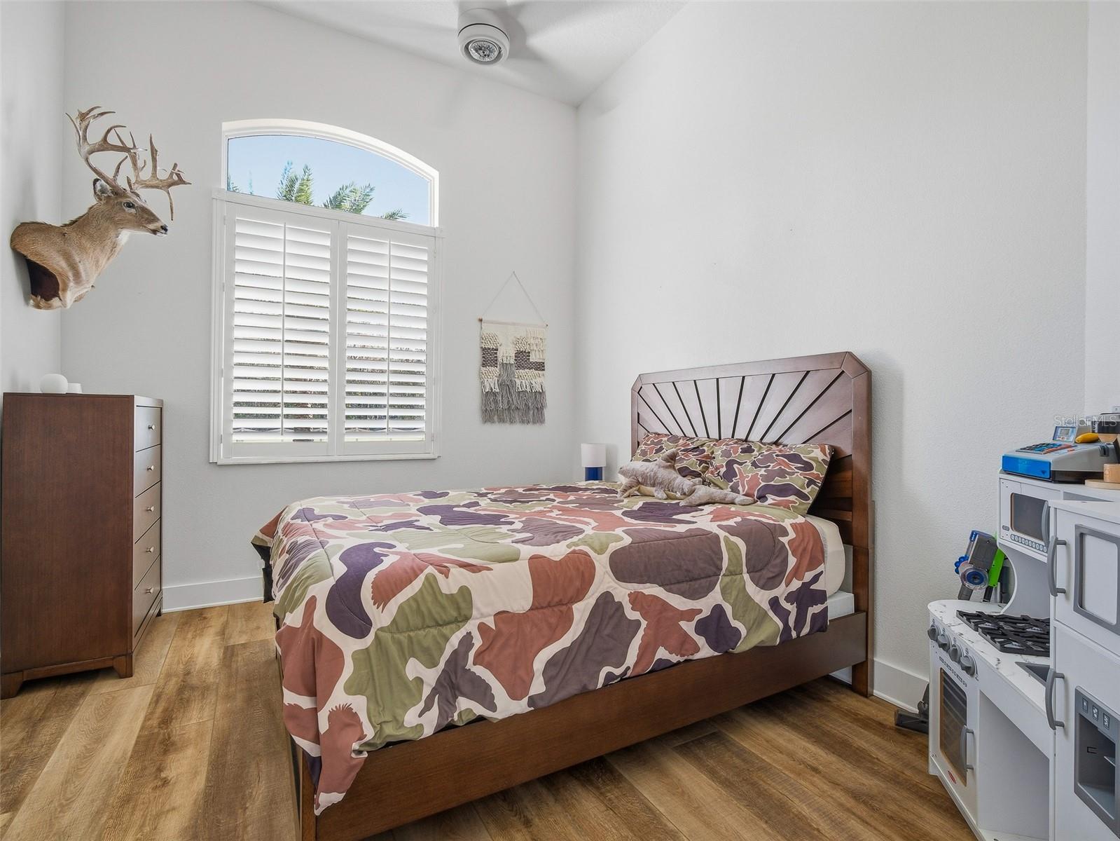 CONE LAKE AREA - NSB - Residential