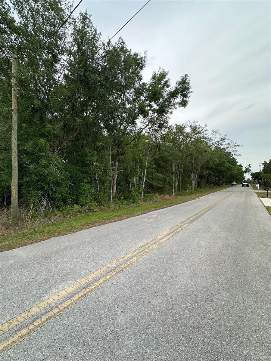 BELLEVIEW RIDGE ESTATE - Land