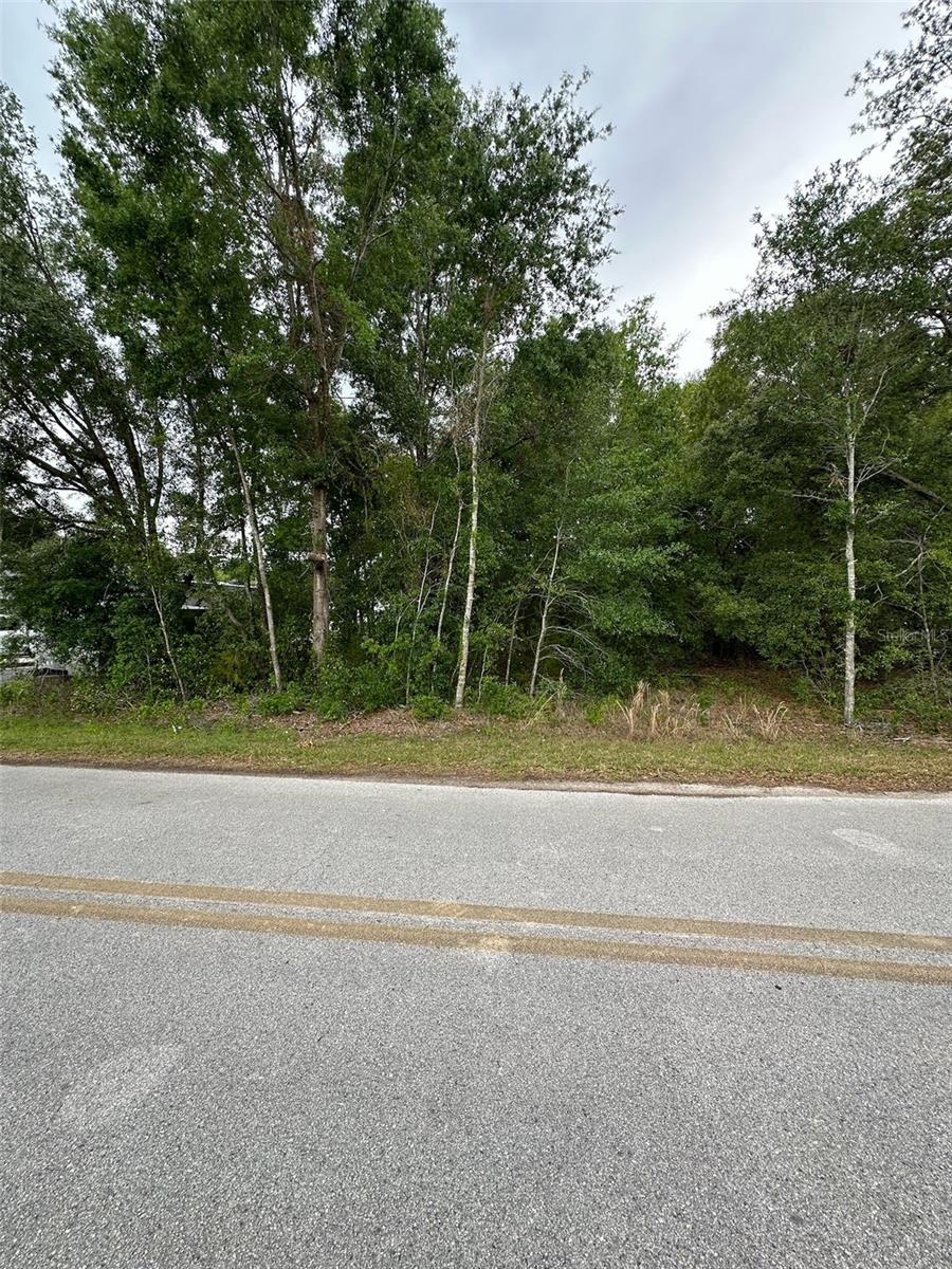 BELLEVIEW RIDGE ESTATE - Land