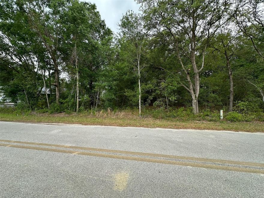 Build your dream home on this 0.29-acre vacant lot in Belleview! Located in a quiet neighborhood with easy access to Hwy 441, this property offers no HOA and plenty of space.