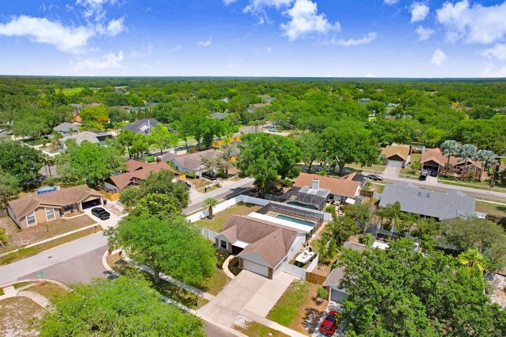 1017 CAMEO CREST LANE