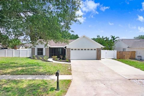 1017 CAMEO CREST LANE VALRICO FL 33596