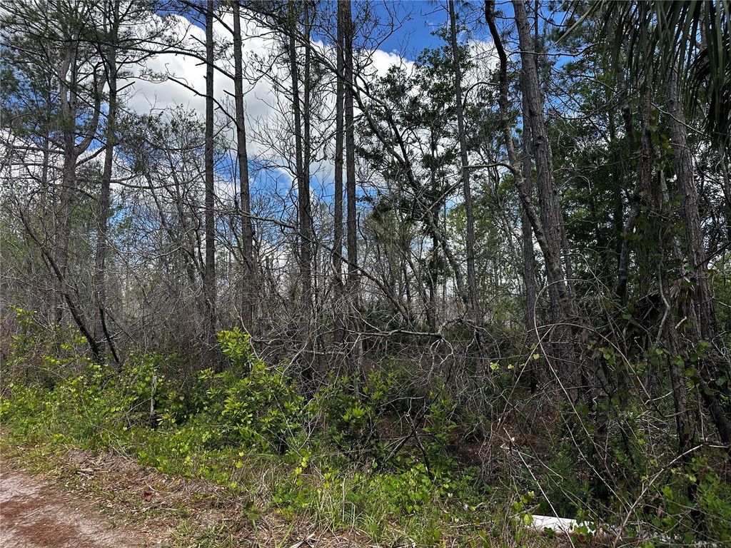 Photo of 00 Kola Road, New Smyrna Beach, FL 32168 (MLS # OM723043)
