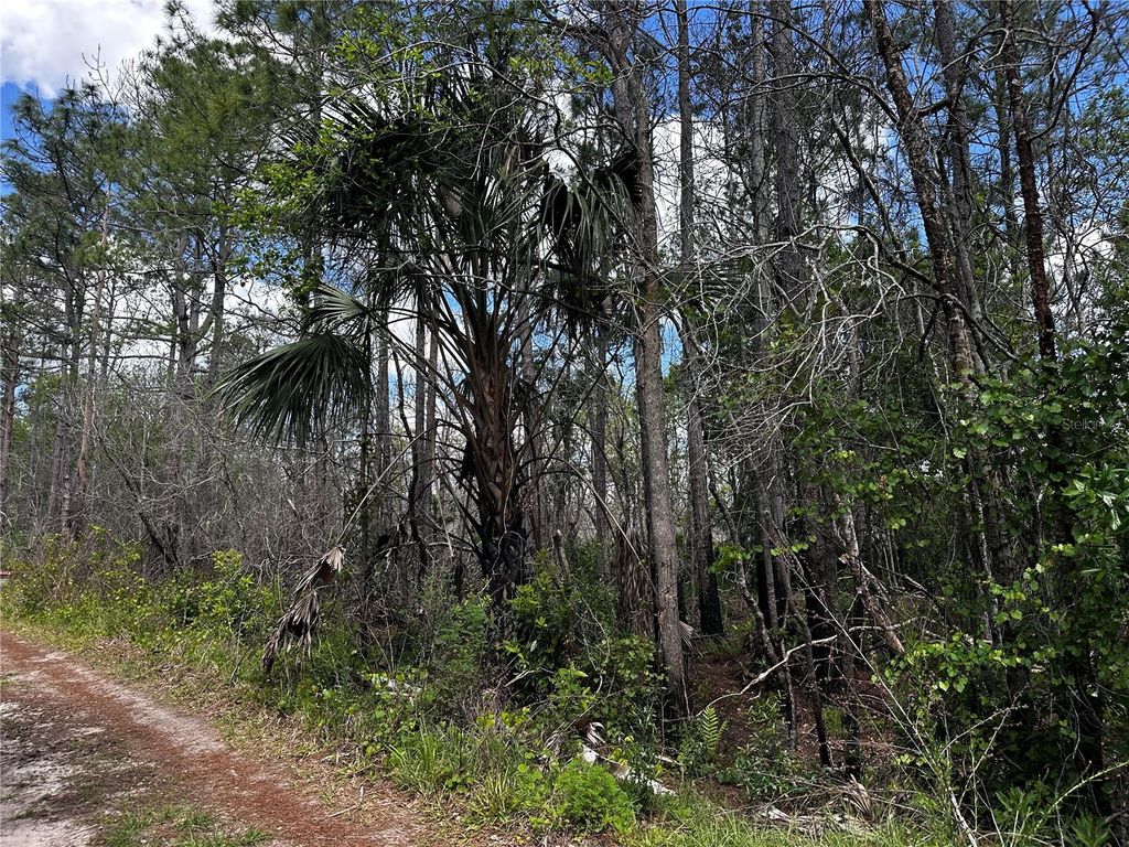 Photo of 00 Kola Road, New Smyrna Beach, FL 32168 (MLS # OM723043)