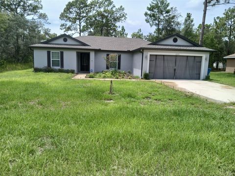 Photo of 12253 Island Shrike Road, Brooksville, FL 34614 (MLS # TB8403282) Photo of 12253 Island Shrike Road, Brooksville, FL 34614 (MLS # TB8403282)