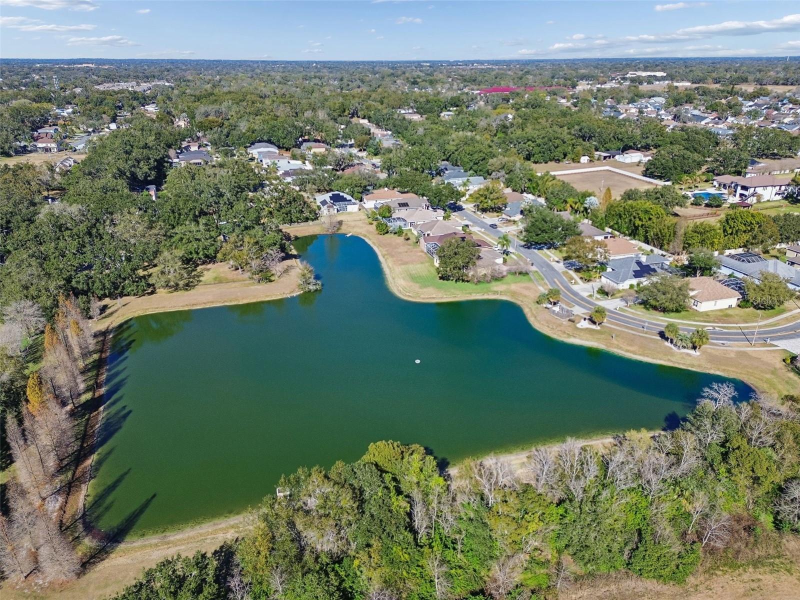 BLOOMINGDALE VILLAGE PH I SUB - Residential