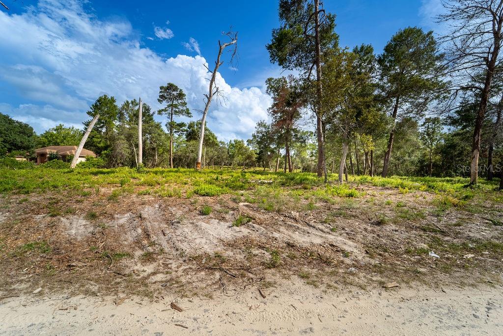 RED FOX RUN PRCL 31 - Land