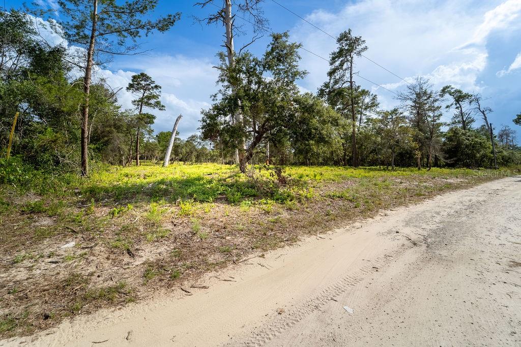 RED FOX RUN PRCL 31 - Land