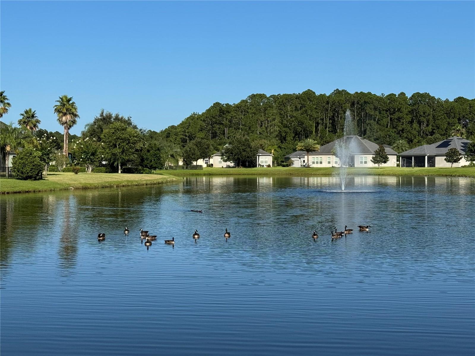 WOODLAKE PH III - Residential