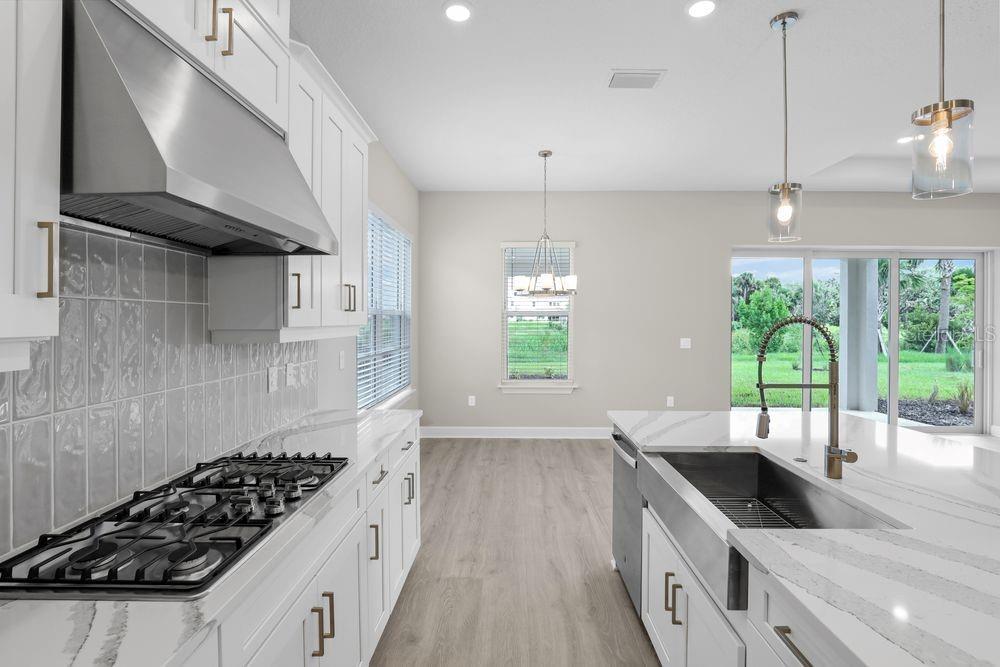 ESPLANADE AT SKYE RANCH - Residential
