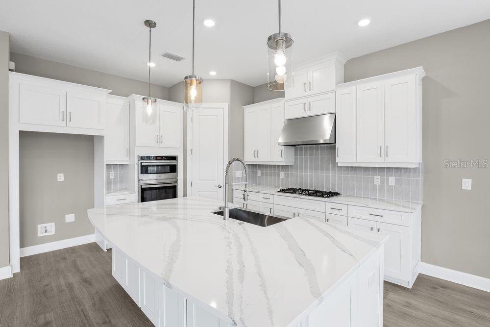 ESPLANADE AT SKYE RANCH - Residential