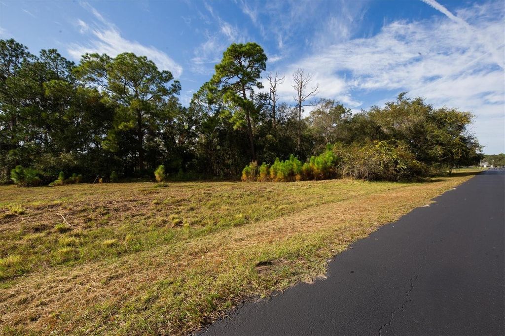 Photo of 8541 WOODLEAF BOULEVARD, WESLEY CHAPEL, FL 33544 (MLS # T3447376)