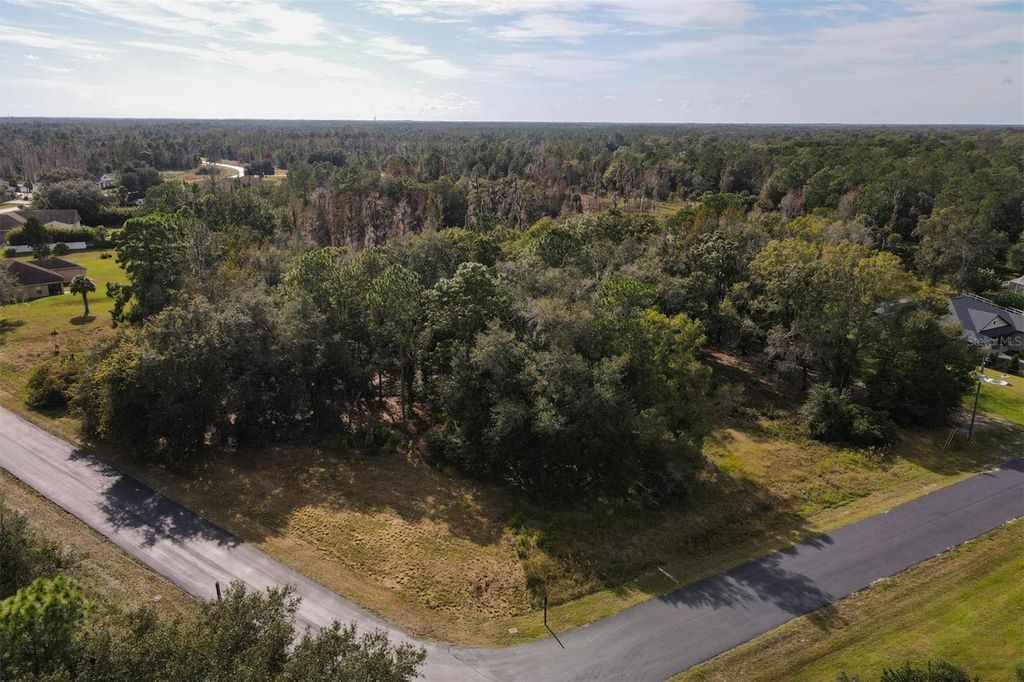 Photo of 8541 WOODLEAF BOULEVARD, WESLEY CHAPEL, FL 33544 (MLS # T3447376)