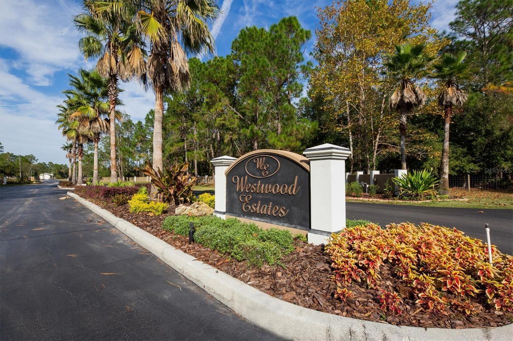 Photo of 8541 WOODLEAF BOULEVARD, WESLEY CHAPEL, FL 33544 (MLS # T3447376)