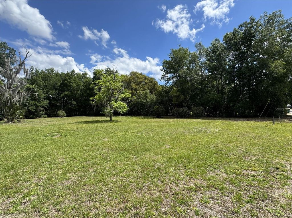 Photo of 65 Howard Street, Umatilla, FL 32784 (MLS # FC318051)