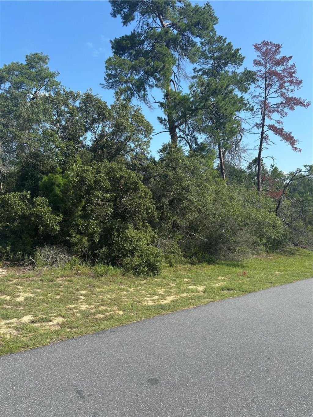 Photo of 16698 SW 21st Circle, Ocala, FL 34473 (MLS # O6419507)