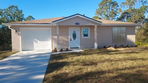 A home in PUNTA GORDA