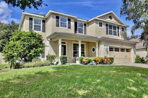 A home in MOUNT DORA