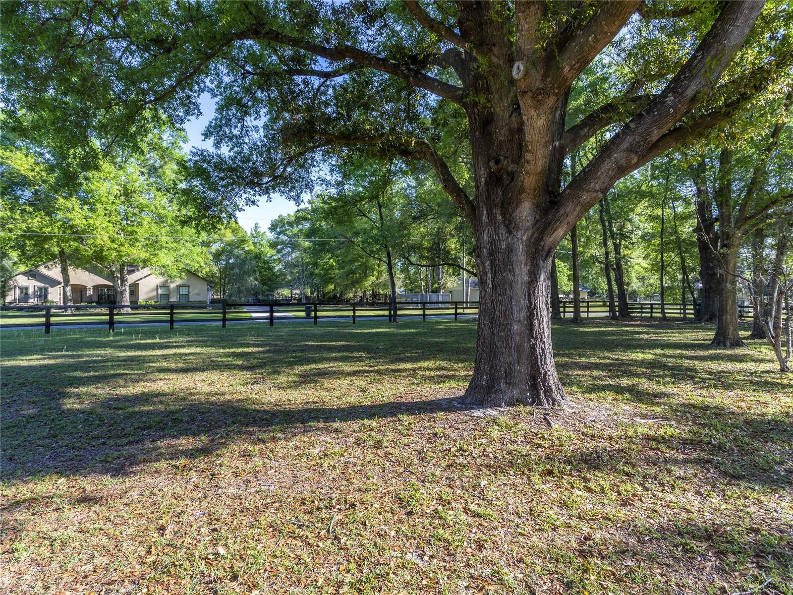 MEADOW WOOD FARMS UN 02 - Residential