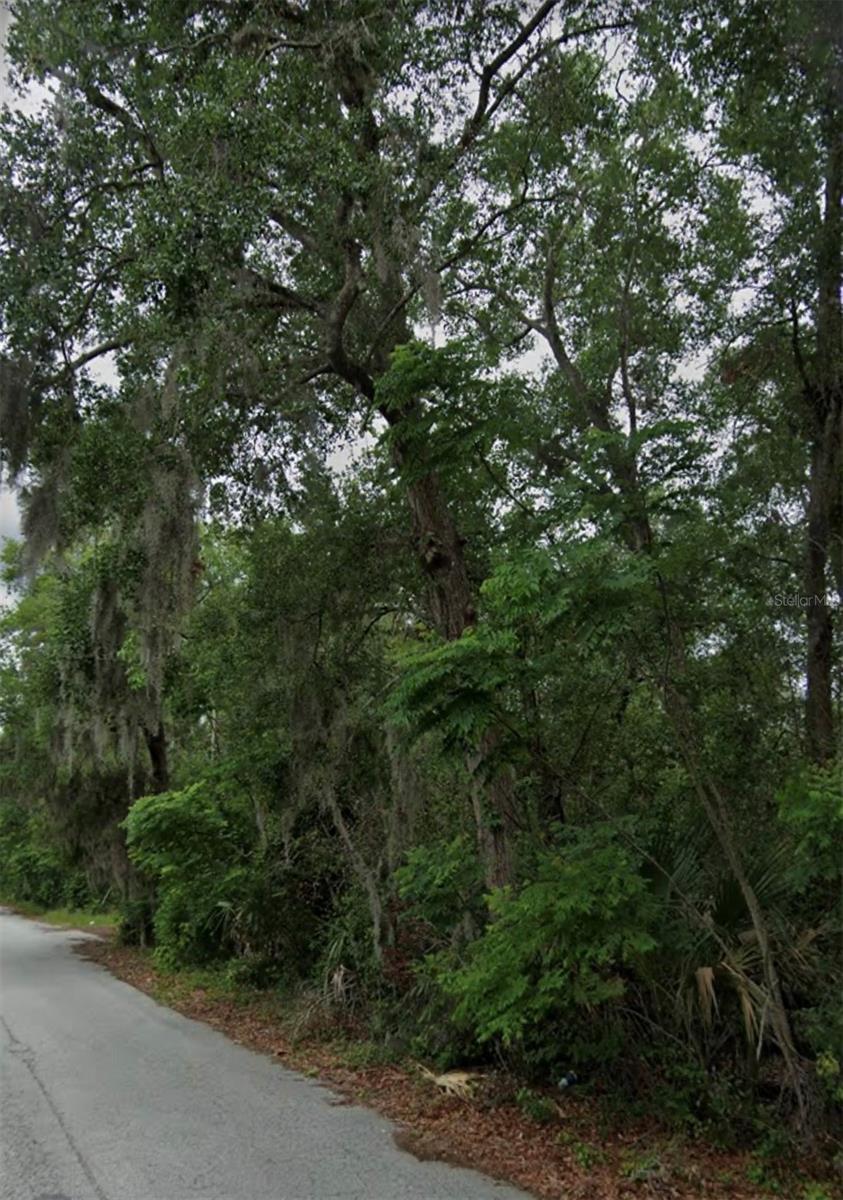 Discover an exceptional opportunity in Deltona, Florida—a versatile 0.48-acre vacant lot ready for your vision. Nestled in a thriving community with easy access to major roadways and local amenities, this property offers the ideal canvas for building your dream home or developing a lucrative investment. The flat, well-maintained terrain, along with clear titles and available utilities, simplifies the construction process, while the strategic location ensures proximity to schools, shopping, and recreation. Whether you're planning a modern residence or a custom commercial project, this parcel provides a perfect blend of potential and convenience in one of Florida’s most sought-after markets. Seize the chance to invest in a future filled with endless possibilities!