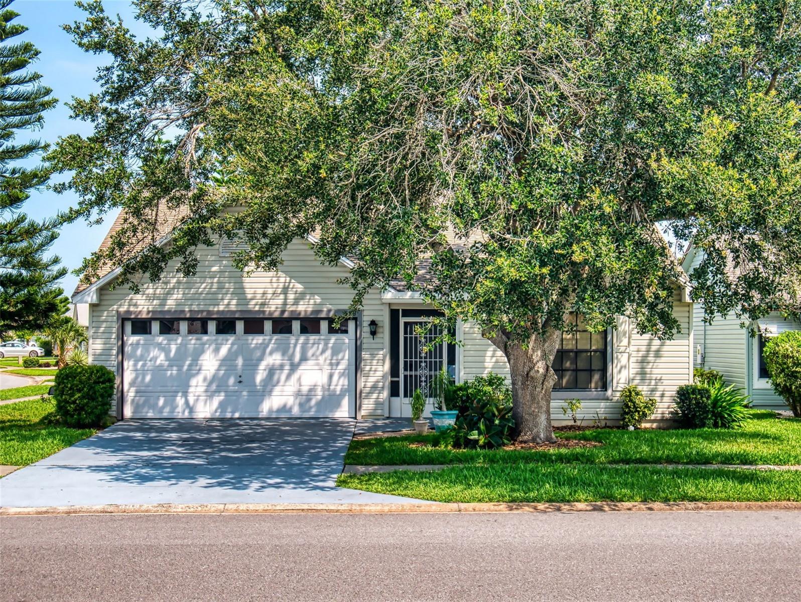 TYMBER TRACE PH 01 - Residential