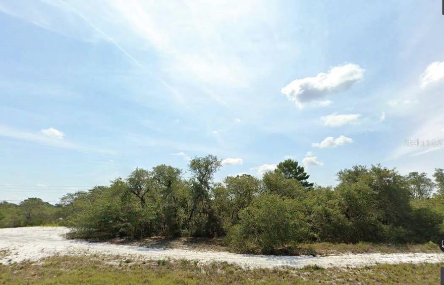 Take advantage of this opportunity to own land in the growing area of Lake Wales, Florida. This residential parcel offers a peaceful setting with plenty of space and privacy, tucked away just off Washington Street. Conveniently located with access to nearby highways, lakes, and local amenities, this lot provides a versatile opportunity for future development or long-term investment. Whether looking to build or hold, the location offers potential in a natural, spacious environment.

All information provided is deemed reliable but is not guaranteed and should be independently verified.