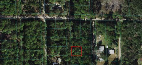 00 NE 66TH COURT CITRA FL 32113