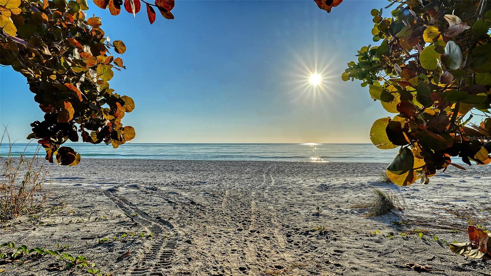 TRITON COVE - Residential