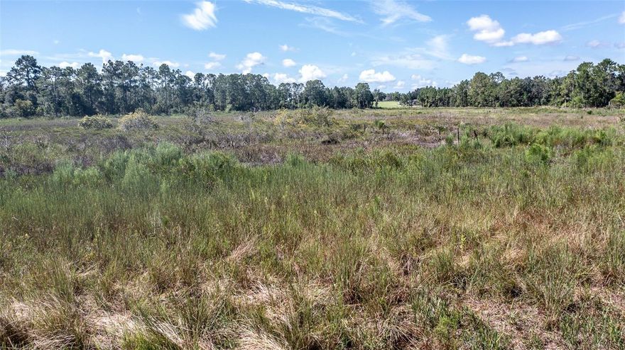 Beautiful 6.4 Acre lot in Howey with 1.8 acres high and dry up front to build your home on. The rest of the lot is for you to enjoy privacy, a pond with lots of fish and beautiful scenery and wildlife. The back side of the lot has 1 Acre that you cannot build on, take trees down or change the scenery. This fantastic lot is located in the desirable town of Howey in the Hills. This property is located down a small quaint paved country road with beautiful custom homes. Howey has been growing and has wonderful Lakes and scenery. You'll love the lakefront side of town, have lunch at waterfront restaurants or tour the historic Howey Mansion. Easy access to the Harris Chain of lakes if you love boating and fishing. If you like motorcycle or bike riding or just going for an afternoon cruise there are lots of great country roads to enjoy.