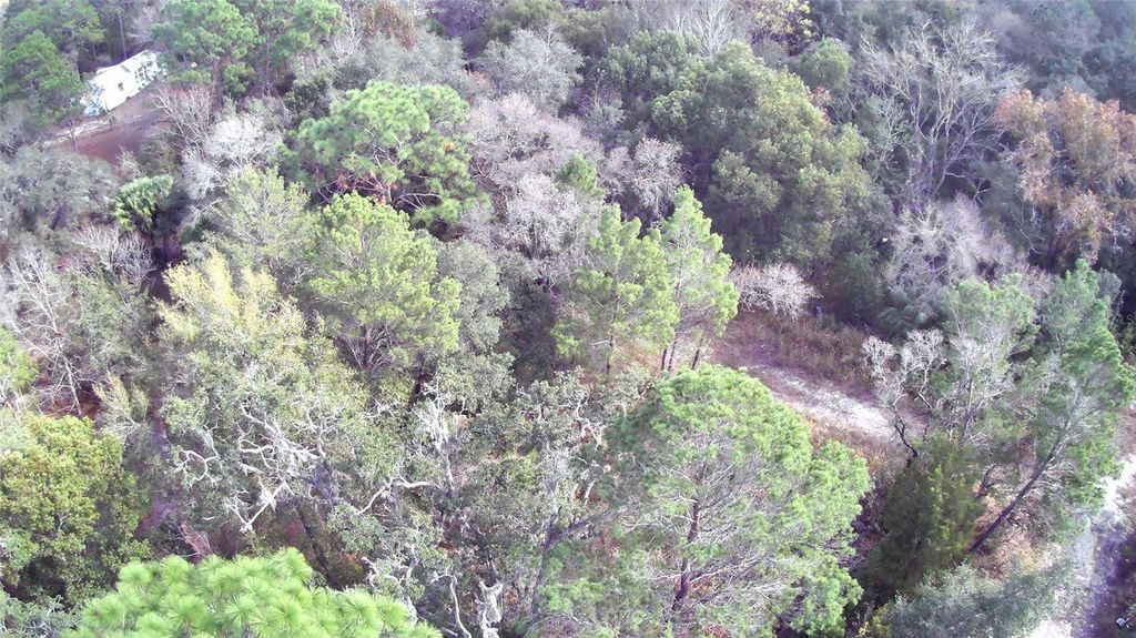 Photo of 12070 Seely Lane, Brooksville, FL 34613 (MLS # S5140616)