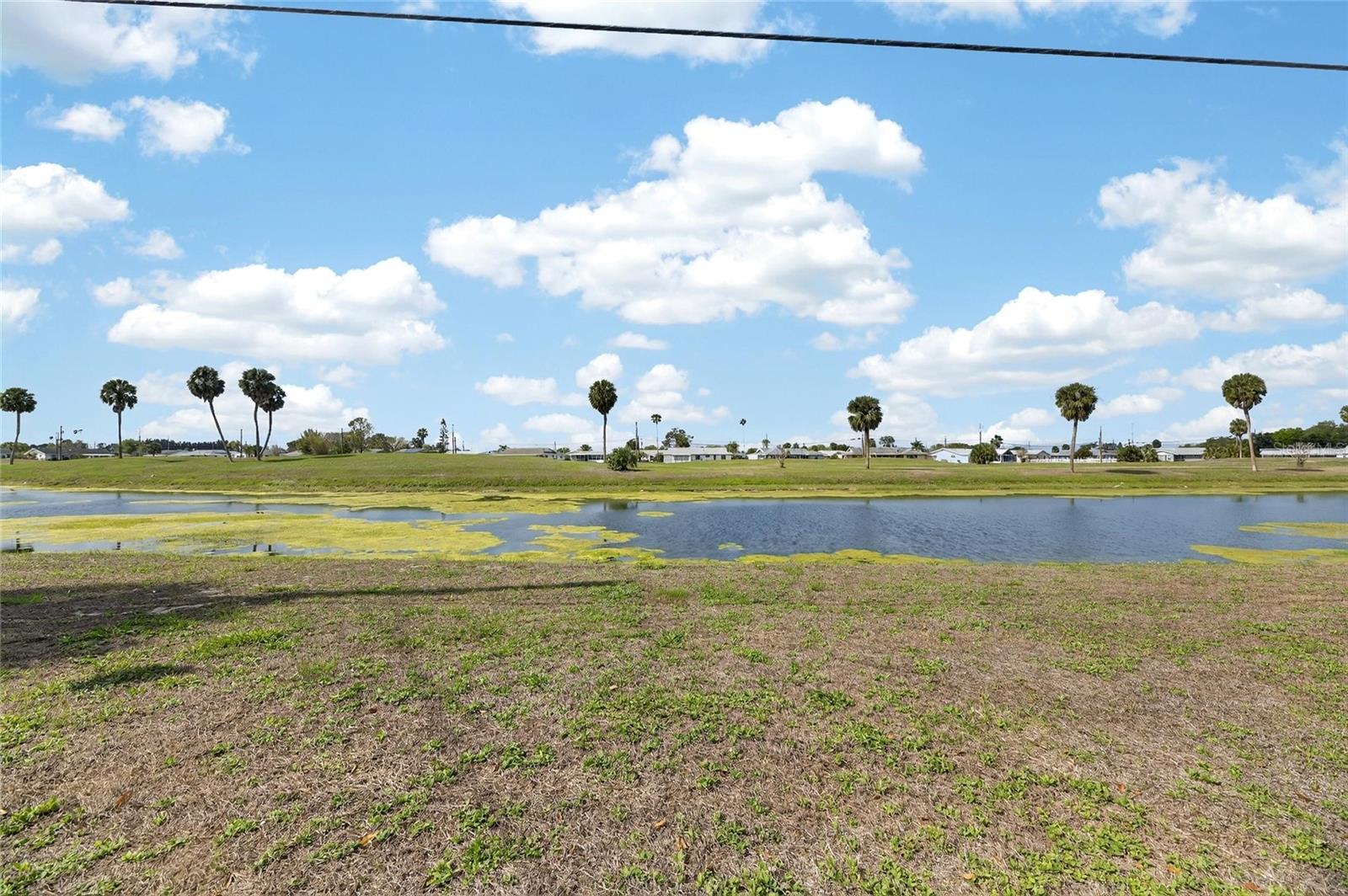 DEL WEBBS SUN CITY FLORIDA UN - Residential