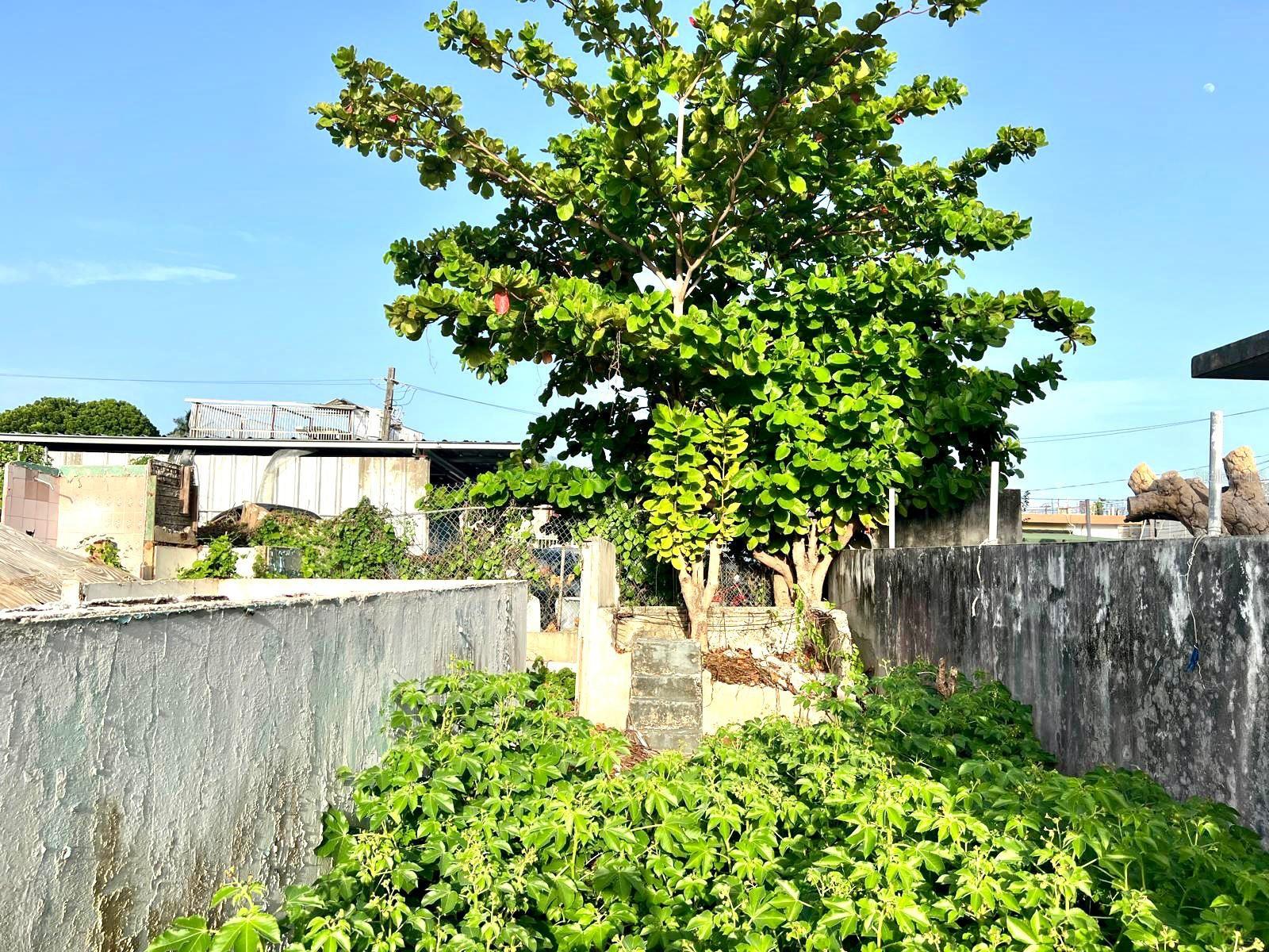 SEBORUCO SECTOR, SANTURCE WARD - Land